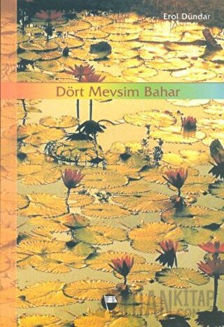 Dört Mevsim Bahar Erol Dündar