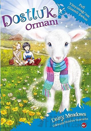 Dostluk Ormanı 12 - Pufi Yünyumağı'nın Gizemli Şarkısı Daisy Meadows