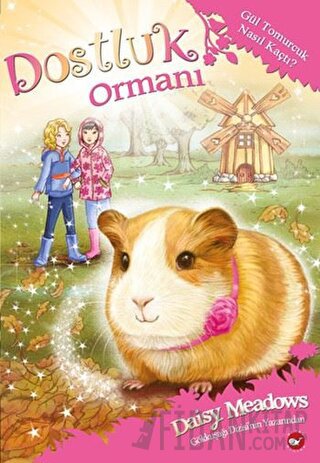 Dostluk Ormanı - 8 / Gül Tomurcuk Nasıl Kaçtı? Daisy Meadows