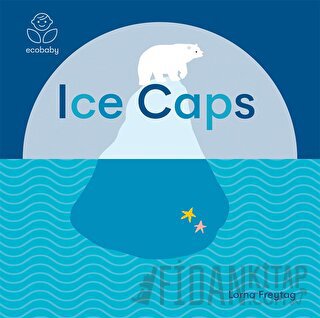 Eco Baby: Ice Caps (Ciltli) Lorna Freytag