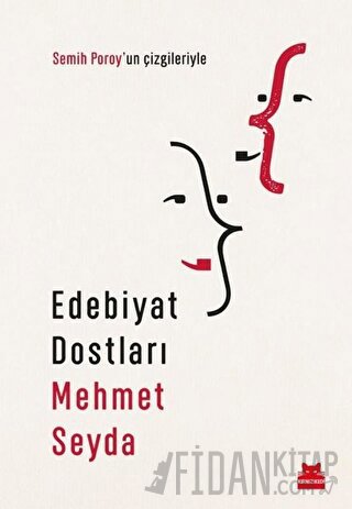 Edebiyat Dostları Mehmet Seyda