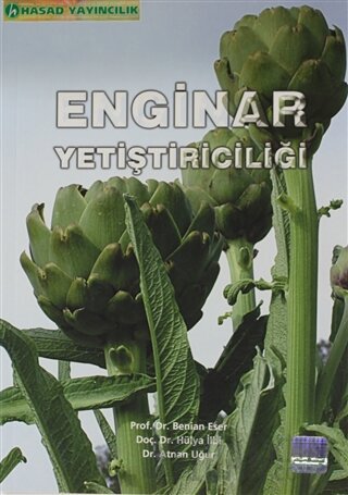 Enginar Yetiştiriciliği Atnan Uğur