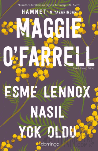 Esme Lennox Nasıl Yok Oldu Maggie O'Farrell