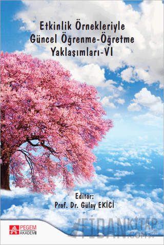 Etkinlik Örnekleriyle Güncel Öğrenme-Öğretme Yaklaşımları - VI Kolekti