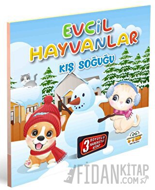 Evcil Hayvanlar Kış Soğuğu Kolektif