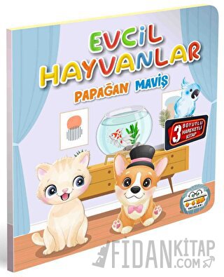 Evcil Hayvanlar Papağan Maviş Kolektif