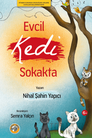 Evcil Kedi Sokakta Nihal Şahin Yapıcı