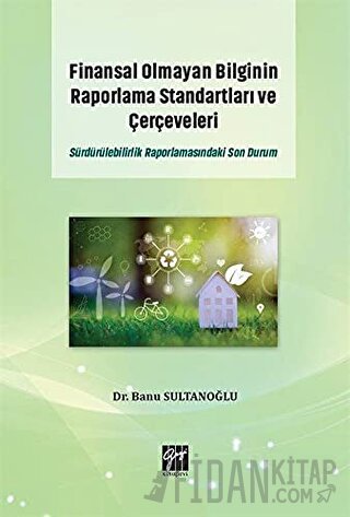 Finansal Olmayan Bilginin Raporlama Standartları ve Çerçeveleri Banu S