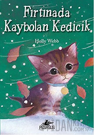 Fırtınada Kaybolan Kedicik Holly Webb