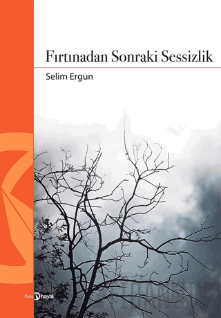 Fırtınadan Sonraki Sessizlik Selim Ergun