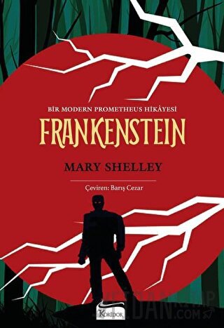 Frankenstein (Bez Ciltli) Mary Shelley