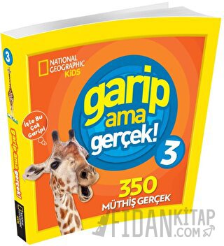 Garip Ama Gerçek 3 Kolektif