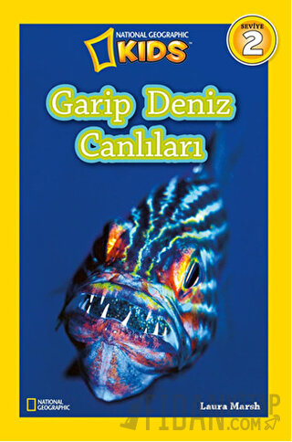 Garip Deniz Canlıları (Seviye 2) Laura Marsh