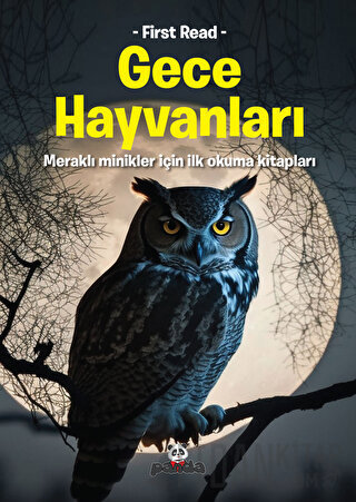 Gece Hayvanları Kolektif