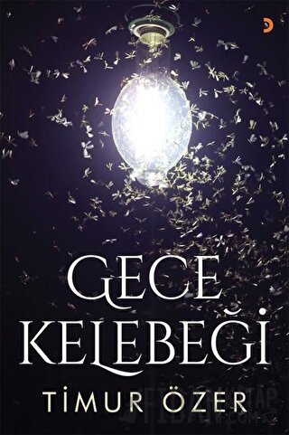 Gece Kelebeği Timur Özer