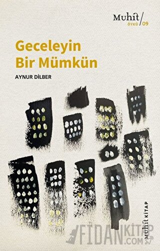 Geceleyin Bir Mümkün Aynur Dilber