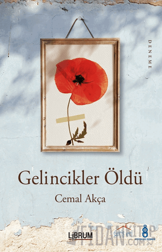 Gelincikler Öldü Cemal Akça