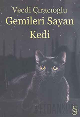 Gemileri Sayan Kedi Vecdi Çıracıoğlu