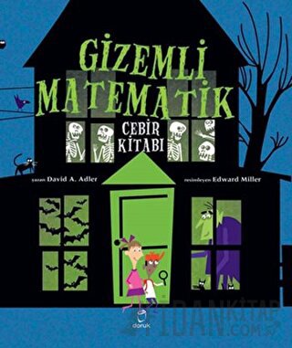 Gizemli Matematik David A. Adler