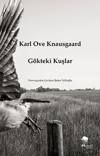 Gökteki Kuşlar Karl Ove Knausgaard