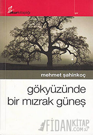 Gökyüzünde Bir Mızrak Güneş Mehmet Şahinkoç