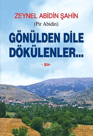 Gönülden Dile Dökülenler Zeynel Abidin Şahin