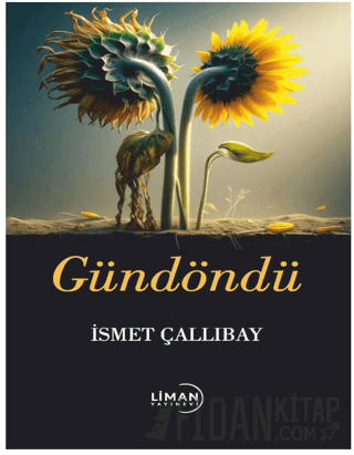 Gündöndü İsmet Çallıbay