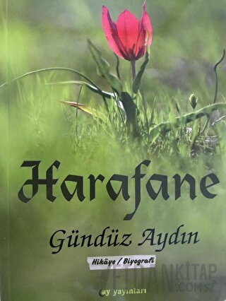 Harafane Gündüz Aydın