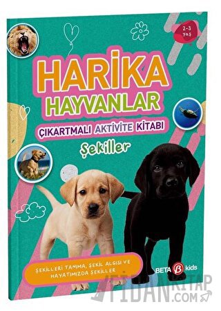 Harika Hayvanlar - Çıkartmalı Aktivite Kitabı Buket Kurt