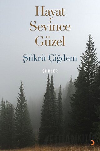 Hayat Sevince Güzel Şükrü Çiğdem