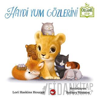 Haydi Yum Gözlerini (Ciltli) Lori Haskins Houran