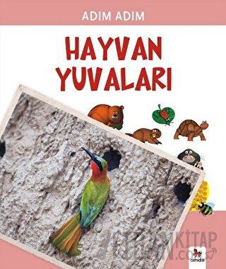 Hayvan Yuvaları Fiametta Dogi