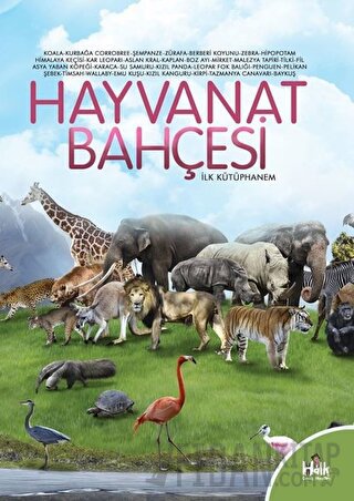 Hayvanat Bahçesi - İlk Kütüphanem Kolektif