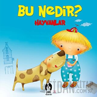 Hayvanlar - Bu Nedir? (Ciltli) Elif Tahmiscioğlu