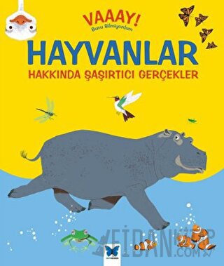 Hayvanlar Hakkında Şaşırtıcı Gerçekler Emma Dodson