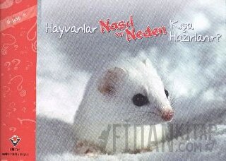 Hayvanlar Nasıl ve Neden Kışa Hazırlanır Elaine Pascoe