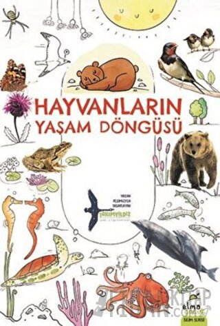 Hayvanların Yaşam Döngüsü Takımyıldız