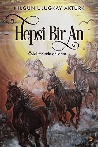 Hepsi Bir An Nilgün Uluğkay Aktürk