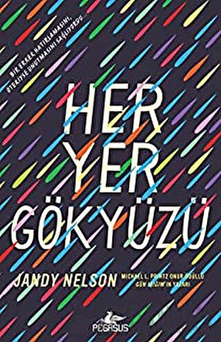 Her Yer Gökyüzü Jandy Nelson