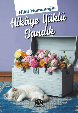 Hikaye Yüklü Sandık Hilal Numanoğlu