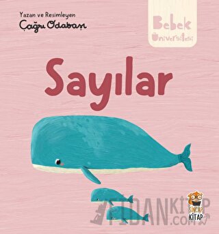 Hikayeli İlk Kavramlarım - Sayılar Çağrı Odabaşı