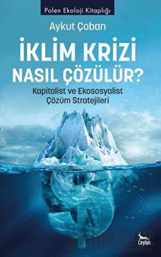 İklim Krizi Nasıl Çözülür? Kapitalist ve Ekososyalist Çözüm Stratejile