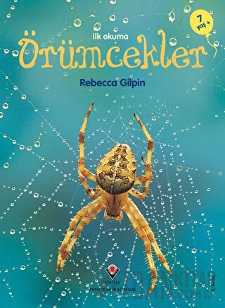 İlk Okuma Örümcekler Rebecca Gilpin