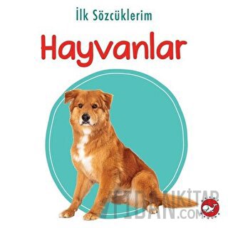 İlk Sözcüklerim - Hayvanlar Kolektif