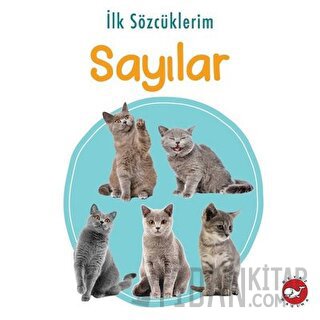 İlk Sözcüklerim - Sayılar Kolektif