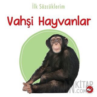 İlk Sözcüklerim -Vahşi Hayvanlar Kolektif