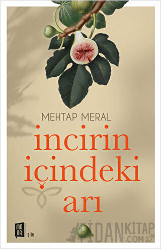 İncirin İçindeki Arı Mehtap Meral