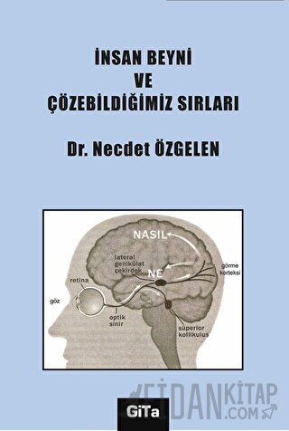 İnsan Beyni ve Çözebildiğimiz Sırları Necdet Özgelen