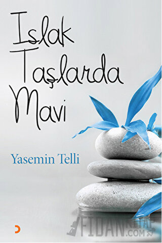 Islak Taşlarda Mavi Yasemin Telli