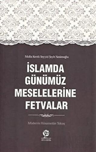 İslamda Günümüz Meselelerine Fetvalar Hüsamettin Tokuş